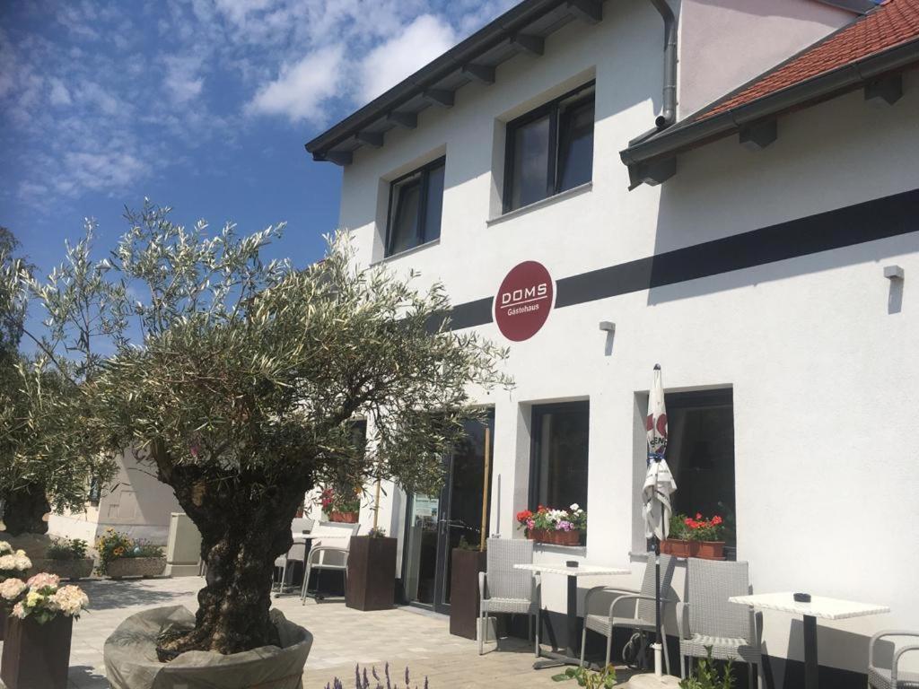 Doms Gaestehaus Guest house Frauenkirchen