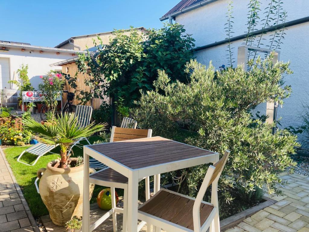 Doms Gaestehaus Guest house